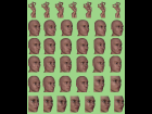 Icons for the RAMWorks Morphs for Genesis