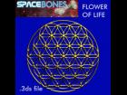 Flower Of Life