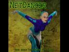 NetDancer Second Skins