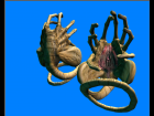 Face Hugger Fun