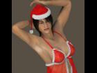 Dawn Christmas Lingerie