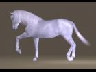 HIVEWIRE HORSE DRESSAGE