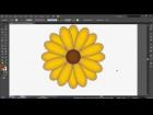 How to use Illustrator to Draw a Flower