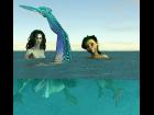 Mermaids