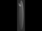 Sculptris Surfboard