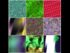 Abstract Tiles 2141-2150