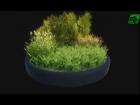 Released New Assets : Realistic Grass and Bush Pack1