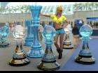 Tata Steel Chess Tournament Assistant