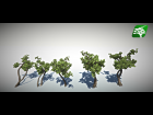 Free Realistic Tree 10