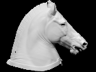 3D scan of Horse Head (“Medici Riccardi” horse)