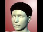 MakeHuman v1.1.0 Hair for Genesis 1