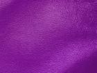 Purple Leather