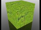 Moss Texture - Seamless