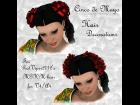 Cinco de Mayo Hair Trim Addon