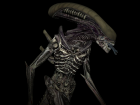 3D Xenomorph