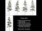 5 Simple Conifer Trees