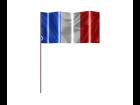 flag / drapeau