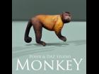 Monkey for Poser and DAZ Studio