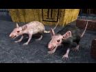 Monster Rat for DAZ Studio