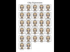 Chip Expressions