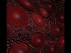 blood cells