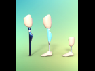 Leg prosthetics pack