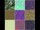 Abstract Tiles 2431-2440