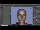 Creating Morphs in Zbrush for DAZ3D