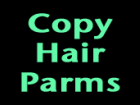 Copy Dynamic Strand Hair Parameters