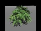 Fern Carrara plant unrealistic