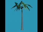 Tree Carrara unrealistic Palm tree