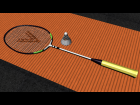 Badminton Set