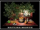 Nature Morte 06