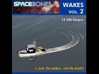 Wakes Vol. 2