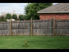 Backyard Fence