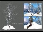 ARBRE LUTIN