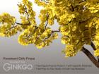 Pavement Cafe Props - Roadside Tree Ginkgo