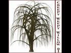 Creepy Weepy Willow 01