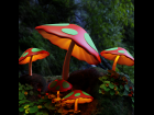 Fantasy Mushroom Forest