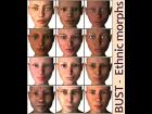 BUST - Ethnic Morphs