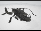 crashed black hawk