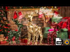 Lighted Decor Deer Obj-Blender