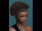 Stylish Afro Hair