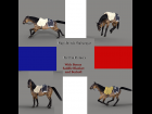 Napoleonic Shabarque for Daz Horse 2