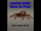 Jumping Spider figure for Poser