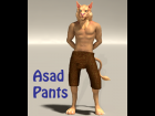 Two pairs of pants for VP's Asad figure