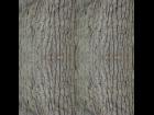 Tree bark 512 4way tile