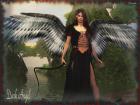 dark angel