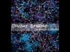 Scatter Brushes