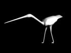 bird 101 3ds max